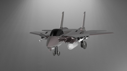 F-14 Tomcat stl jpg