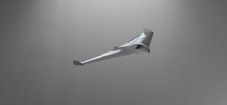 Fighter UAV RC Model Flying Wing stl jpg