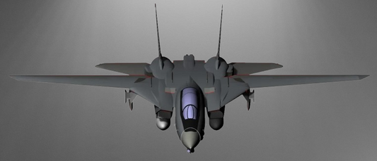 Grumman F-14D Tomcat stl jpg