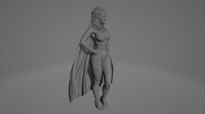 Diana Prince Wonder Woman stl jpg