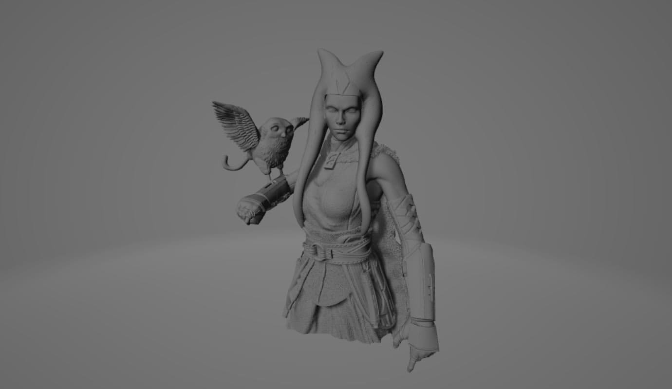 Ahsoka Tano Bust stl jpg